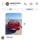 홍해 | [이집트] 홍해 바다 승마 체험 투어 예약방법 여행 후기