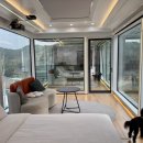 행복한 마을 2008동 앞 | 담양 애견동반펜션 리사숲속마을 우주마을 vs 엘리의집 광주근교나들이 숲캉스