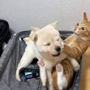 서영카페