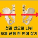 [ 마름모코어 시즌 4-4 ] 천골과 좌골을 나눠 다리와 골반의 균형을 한 번에 잡기 이미지