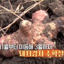 이상우 농장 이미지