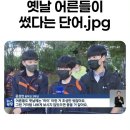 사촌한우농장 | 사랑충들이 판을 치는 6월 월간 리뷰