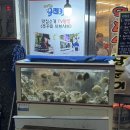왕대박시스템