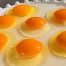 더 프리미엄 농장 이미지