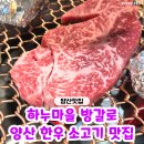 충렬로 | 양산 방갈로가 있는 소고기 맛집 '하누마을 방갈로' 투쁠 채끝등심 후기♥