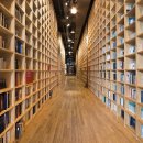 지혜의 숲 이미지