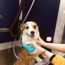 올리스(위례) 이미지