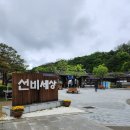 세븐일레븐 영주중앙점 | [영주여행] 경북 영주 순흥 '2026 영주 한국선비문화축제' 내돈내산 실제 방문 후기