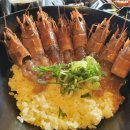 용용이네 이미지