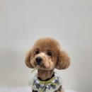 다미살롱 이미지