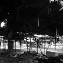 신평시장 이미지