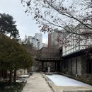 대신한증막 | [국내/춘천] 춘천 속 고즈넉한 찜질방 “나무향기 한증막“ 내돈내산 솔직 후기
