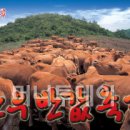 명품한우소잡는날 이미지