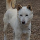 만세농장 이미지