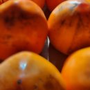 삼인농장 이미지