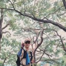 260809-065 충북 괴산 옥녀봉 599m 이미지