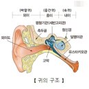 이숲한의원 이미지
