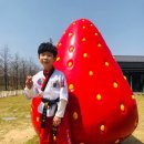 JK 태권도장 이미지