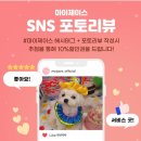 마이제이스 이미지