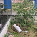 충신시장 | 25.10 첫주 후기