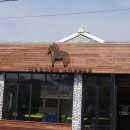 애월시크릿가든 이미지