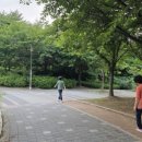 양지로48번길 이미지