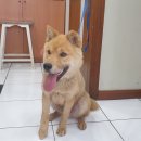 전주동초등학교 이미지