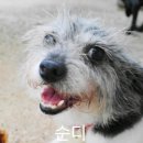 경남 창원 다정 동물 약국 이미지