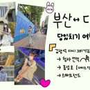 부산에서 대구 당일치기 여행 계획세우는 방법!