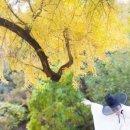 학수고대마을 이미지