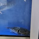 현복집(판교점) 이미지