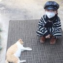 헤세드하우스