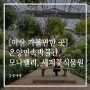 그린꽃식물원 네이버블로그