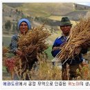행복나눔마트 이미지