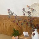 홍’s김밥 이미지