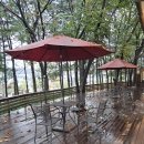 오산오리농장 이미지