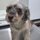 산성대로173번길 이미지