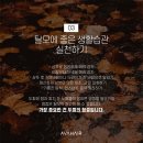 바이유헤어