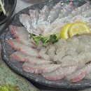 지세포로 | 거제도 지세포 맛집 지세포횟집 대방어 제대로 즐기기 내돈내산 후기