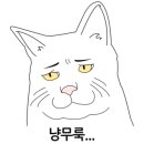 소풍동물병원 이미지