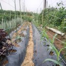 해뜬농장 이미지