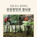 에스이컴퍼니