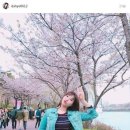 다혜