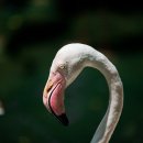 그날농장 이미지