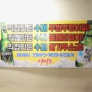 암소와꽃돼지