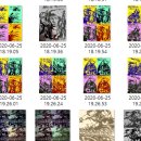 경선상회 이미지