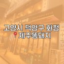 제주똥돼지화정 | 회식 장소로 좋은 돌판에 굽는 화정 고기맛집 제주똥돼지 솔직후기 - (메뉴,위치,주차,가격,구성사진...