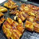 풍천장어 이미지