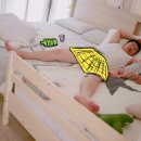 시온체육관 이미지