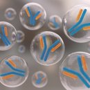 성인한의원 이미지